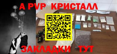 шишки Ярославль
